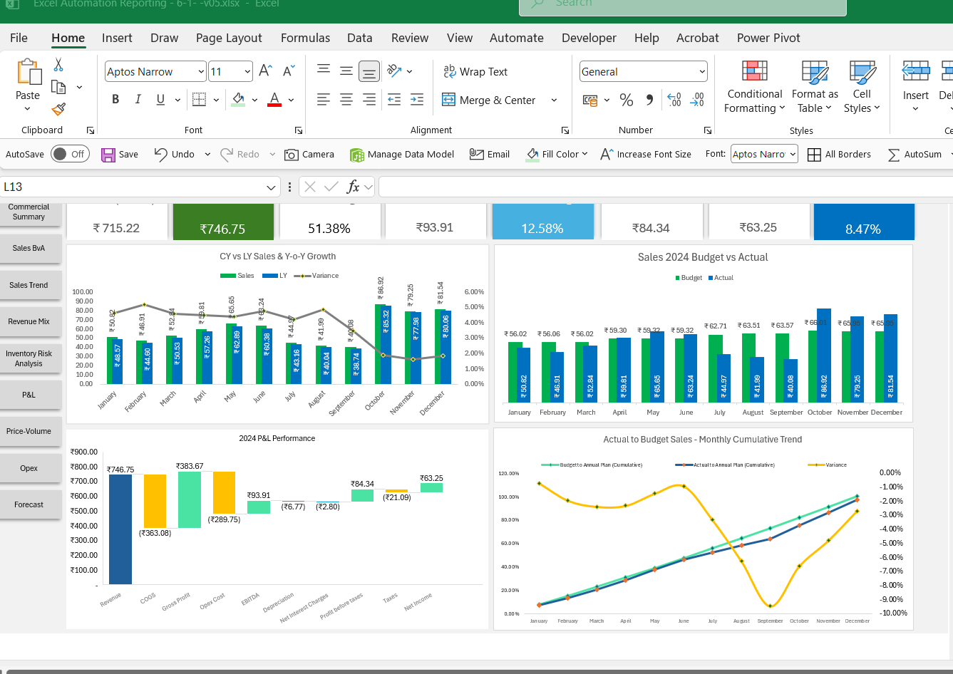 Excel automation reporting workbook built in the Excel MIS Automation course